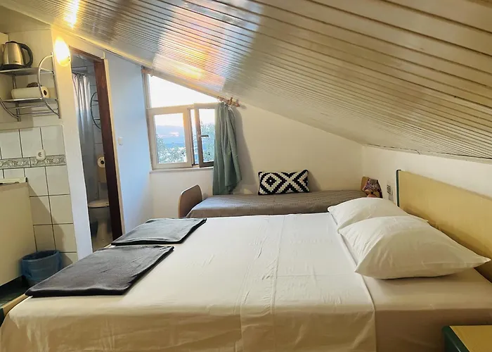 Apartments With Wifi Crikvenica - 5555